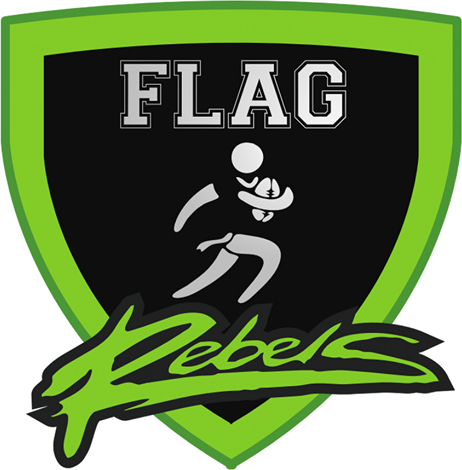 Logo-Flag