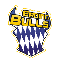 Erding Bulls U19